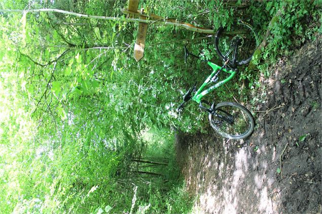 Boucle VTT de Lescheraines - Cascade du Pissieu