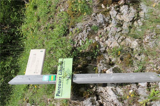 Boucle VTT de Lescheraines - Cascade du Pissieu