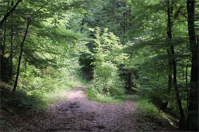 Boucle VTT de Lescheraines - Cascade du Pissieu