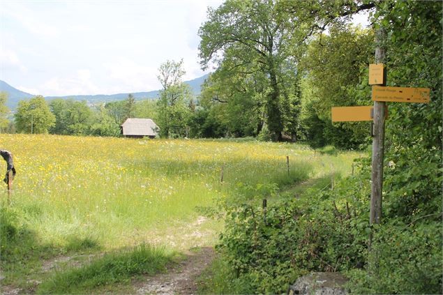 Boucle VTT de Lescheraines - Cascade du Pissieu