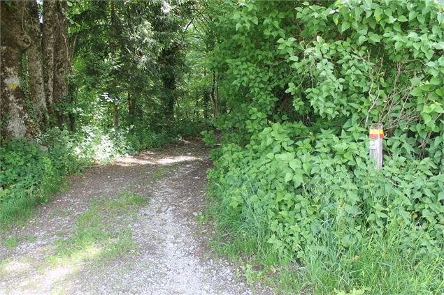 Boucle VTT de Lescheraines - Cascade du Pissieu