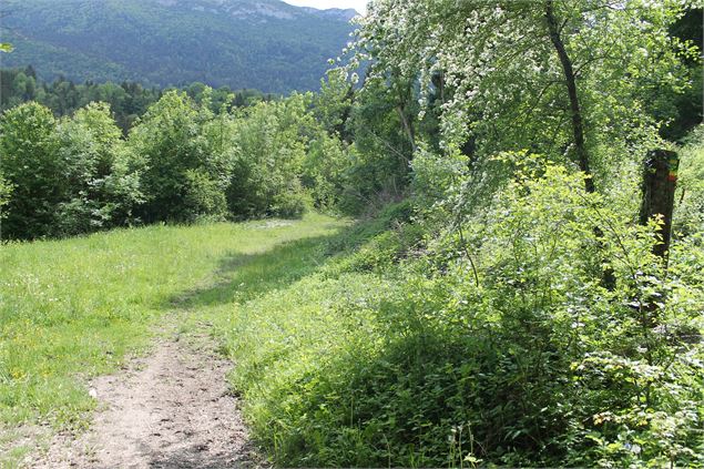 Boucle VTT de Lescheraines - Cascade du Pissieu