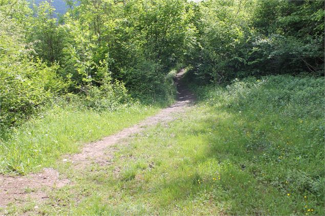 Boucle VTT de Lescheraines - Cascade du Pissieu