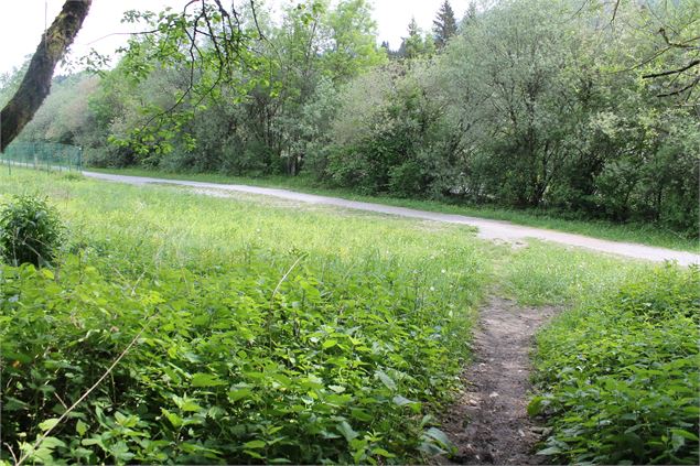 Boucle VTT de Lescheraines - Cascade du Pissieu