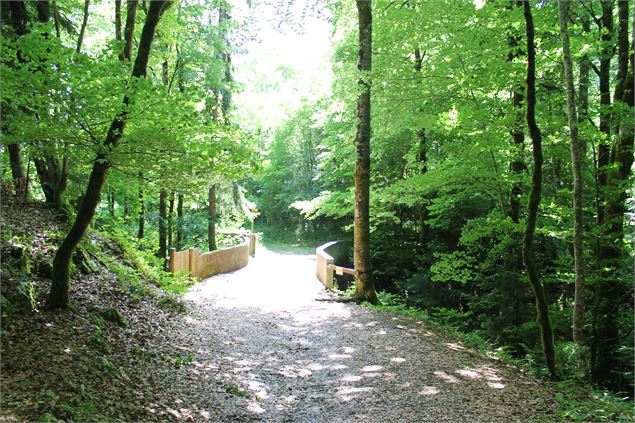 sur le pont... - école de VTT La Féclaz - Massif des Bauges