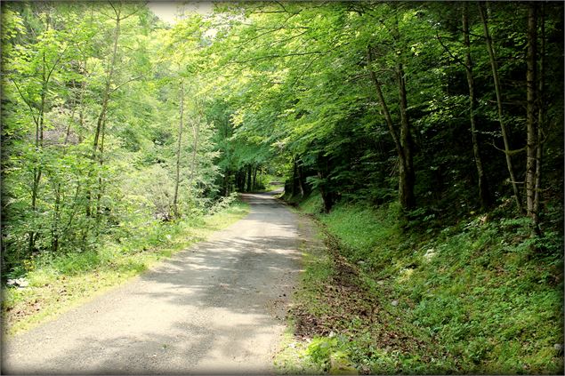 Boucle de Bellevaux - école de VTT La Féclaz - Massif des Bauges