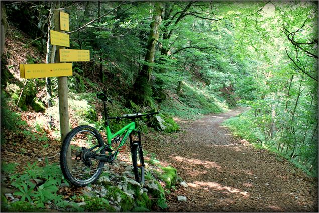 Boucle de Bellevaux - école de VTT La Féclaz - Massif des Bauges