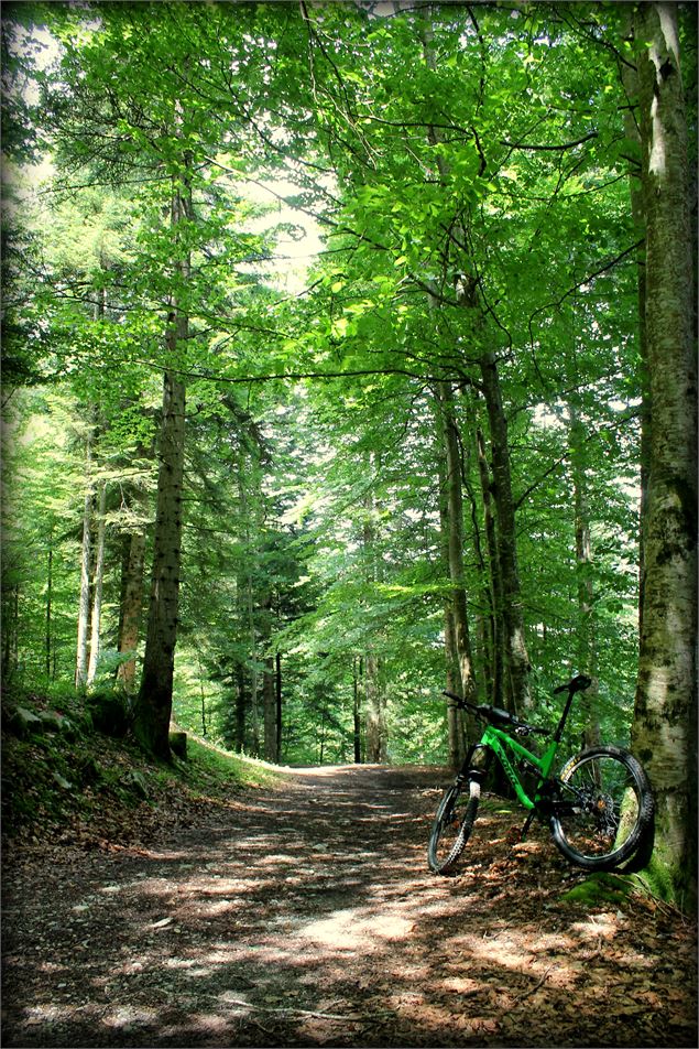 Boucle de Bellevaux - école de VTT La Féclaz - Massif des Bauges