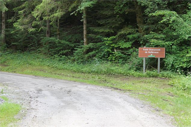 Boucle de Bellevaux - école de VTT La Féclaz - Massif des Bauges