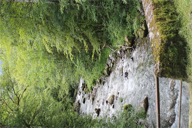 Boucle de Bellevaux - école de VTT La Féclaz - Massif des Bauges