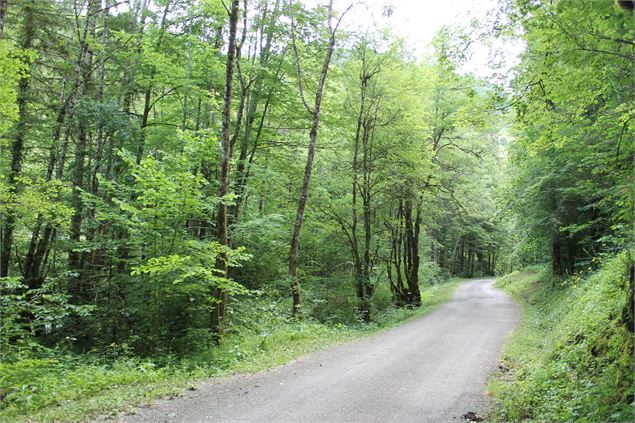 Boucle de Bellevaux - école de VTT La Féclaz - Massif des Bauges