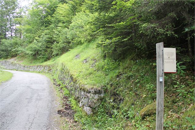 Boucle de Bellevaux - école de VTT La Féclaz - Massif des Bauges