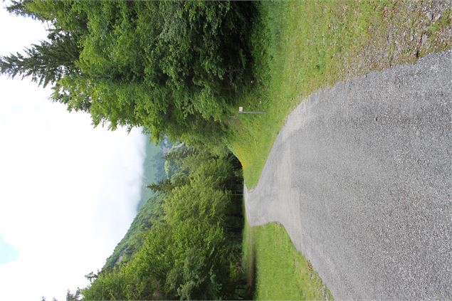 Boucle de Bellevaux - école de VTT La Féclaz - Massif des Bauges