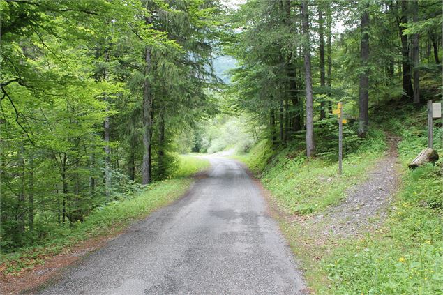 Boucle de Bellevaux - école de VTT La Féclaz - Massif des Bauges