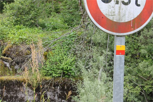 Boucle de Bellevaux - école de VTT La Féclaz - Massif des Bauges