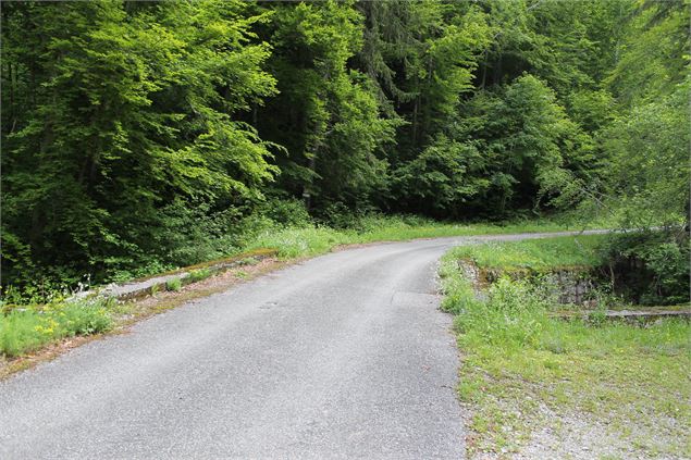 Boucle de Bellevaux - école de VTT La Féclaz - Massif des Bauges