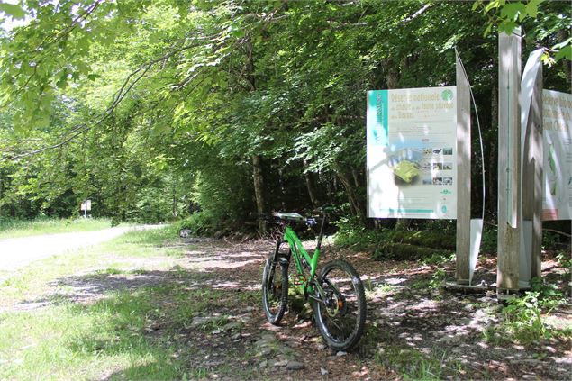 Boucle de Bellevaux - école de VTT La Féclaz - Massif des Bauges