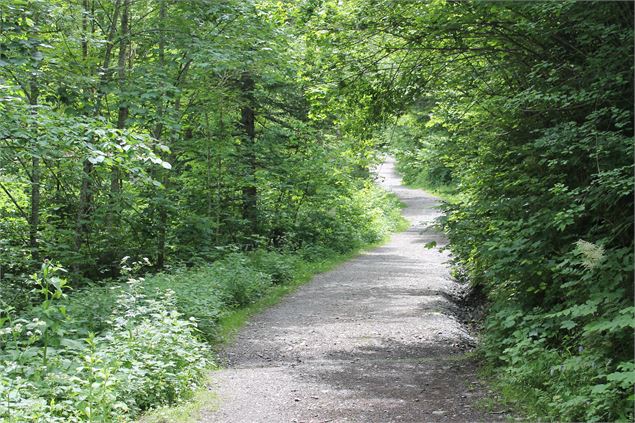 Boucle de Bellevaux - école de VTT La Féclaz - Massif des Bauges