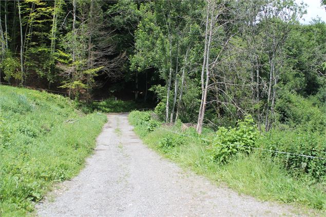 Boucle de Bellevaux - école de VTT La Féclaz - Massif des Bauges