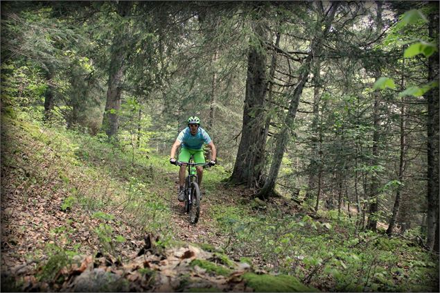 Piste VTT FFC rouge - La Féclaz - école de VTT La Féclaz - Massif des Bauges