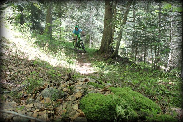 Piste VTT FFC rouge - La Féclaz - école de VTT La Féclaz - Massif des Bauges