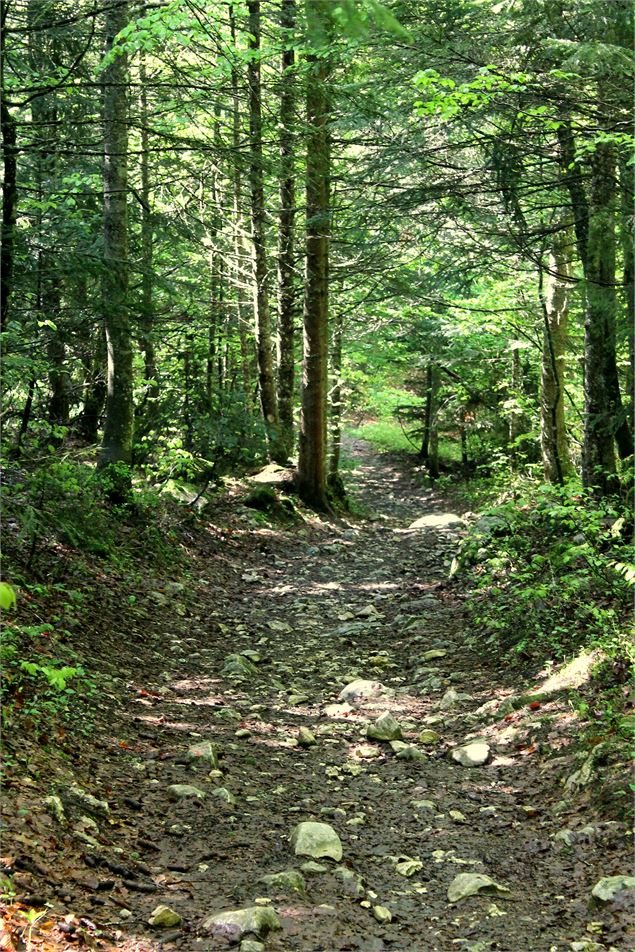 Piste VTT FFC rouge - La Féclaz - école de VTT La Féclaz - Massif des Bauges