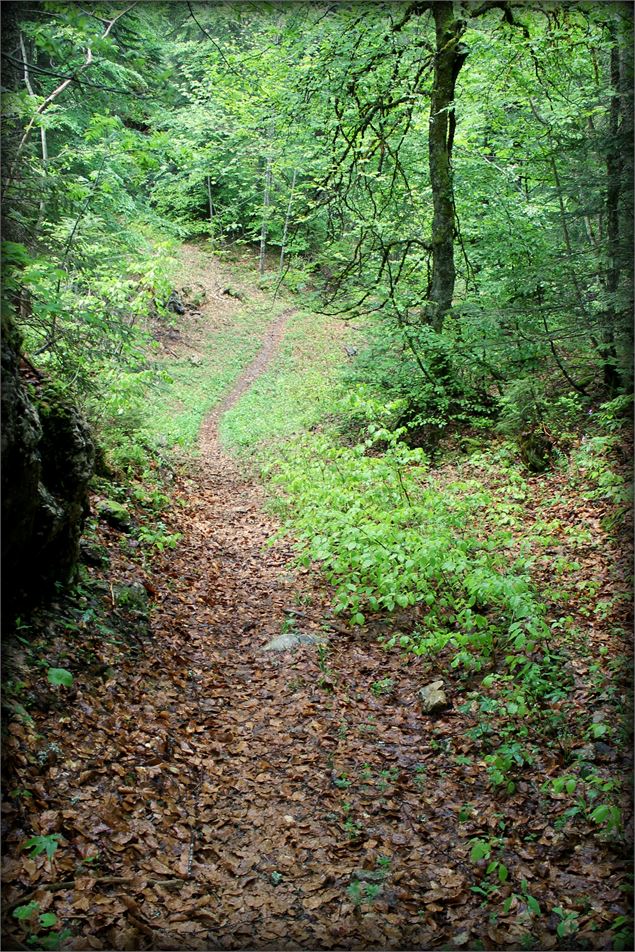 Piste VTT FFC noire 10 - La Féclaz - école de VTT La Féclaz - Massif des Bauges