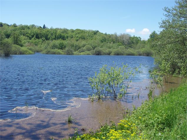 Marais de la Crusille - C. Maurel