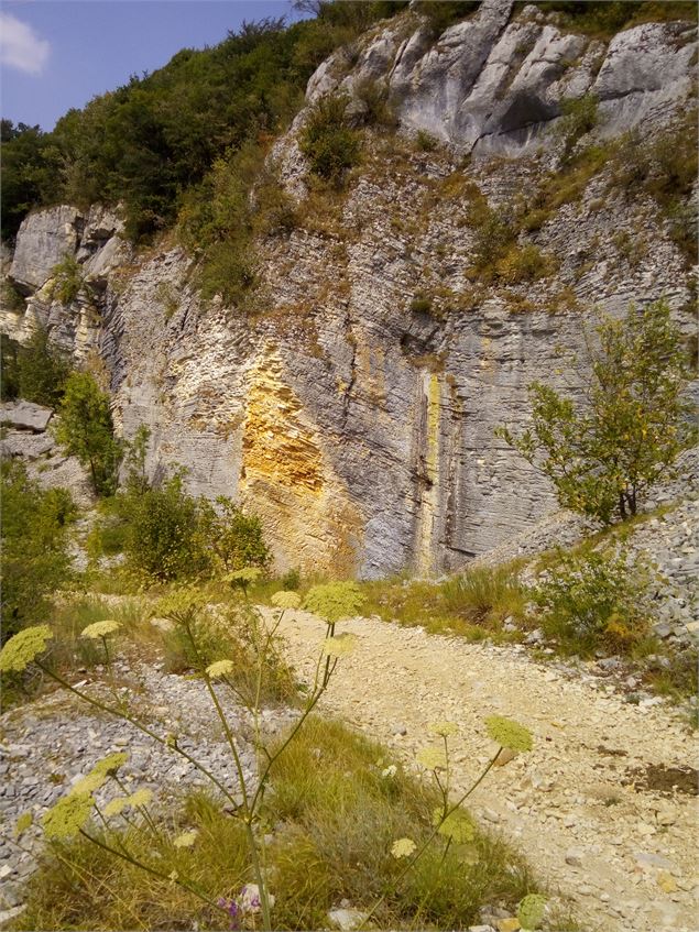 Carrière de Cerin - Conservatoire d’Espaces Naturels Rhône-Alpes – antenne Ain