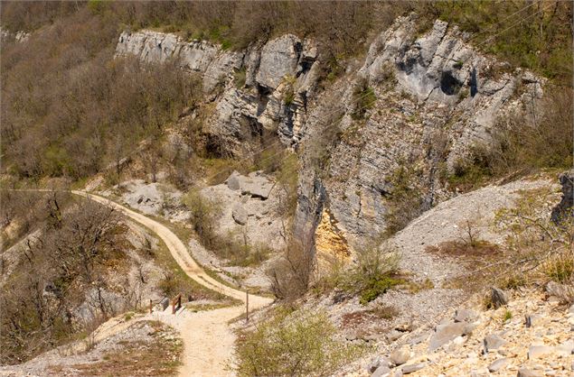 sentier de la carrière de Cerin - Conservatoire d’Espaces Naturels Rhône-Alpes – antenne Ain