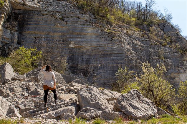 sous la falaise de Cerin - Conservatoire d’Espaces Naturels Rhône-Alpes – antenne Ain