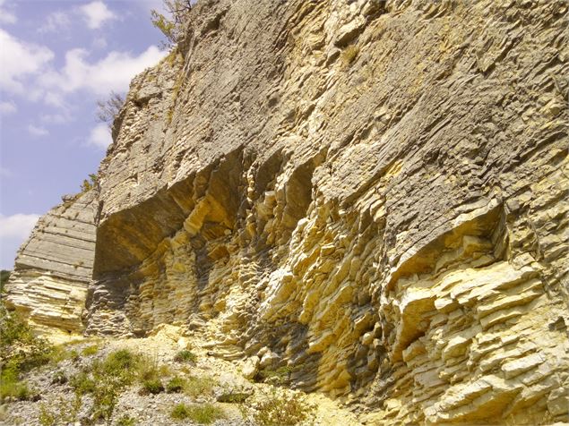 Carrière de Cerin - Conservatoire d’Espaces Naturels Rhône-Alpes – antenne Ain