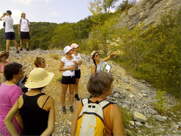 Animation découverte par le CEN de l'AIn - Conservatoire d’Espaces Naturels Rhône-Alpes – antenne Ai