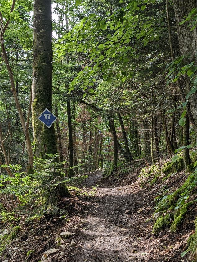 Balisage sur le Bike Park des Monts Jura - Pays de Gex