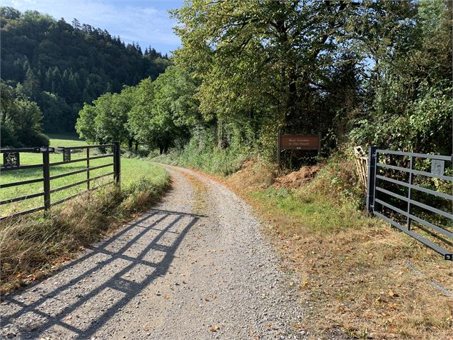 Chemin en gravillons - Maxime Michel