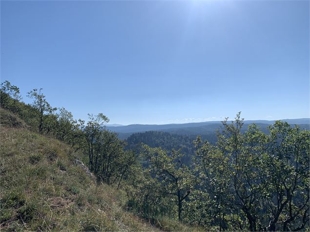 Vue panoramique - Maxime Michel