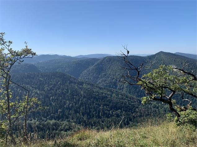 Vue des Monts' d'Ain - Maxime Michel