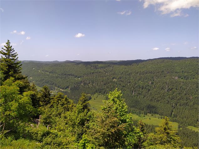 Vue depuis le sentier des belvédères - Office de Tourisme du Pays de Gex