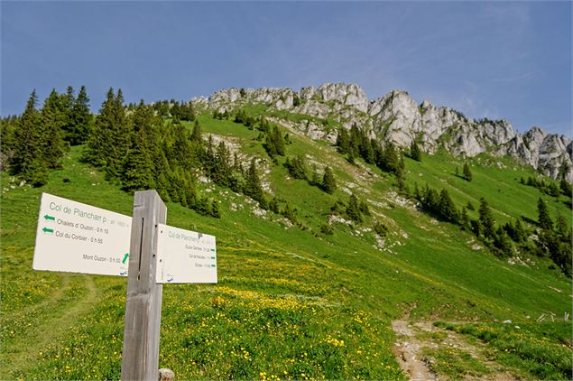 Col Plan Champ - Yvan Tisseyre/OT Vallée d'Aulps