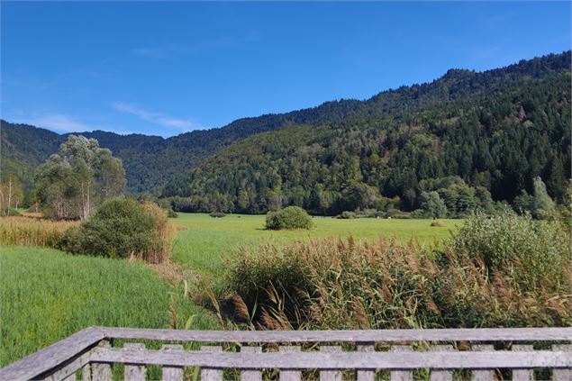 Le marais du Pontet - OT Coeur de Savoie