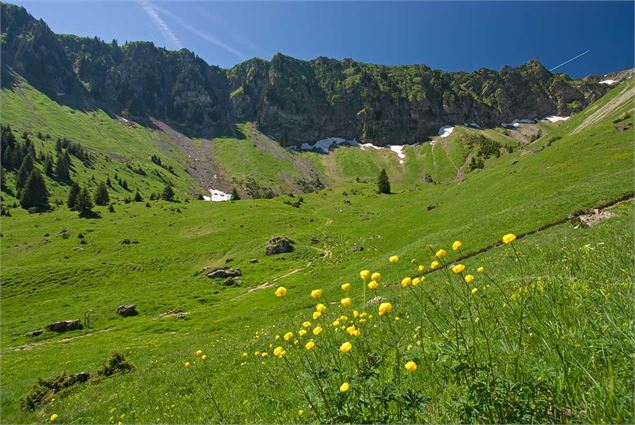 Combe de Graydon - Yvan Tisseyre/OT Vallée d'Aulps