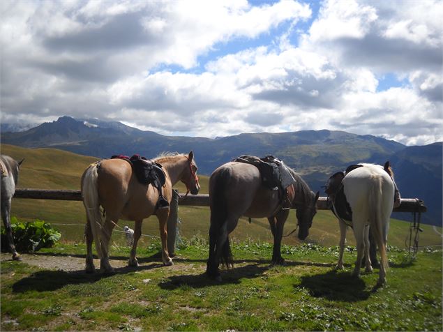 Centre équestre Le Ranch - Thuria