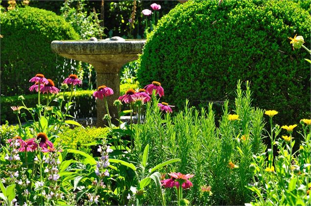 Cloître et plantes médicinales - J5S