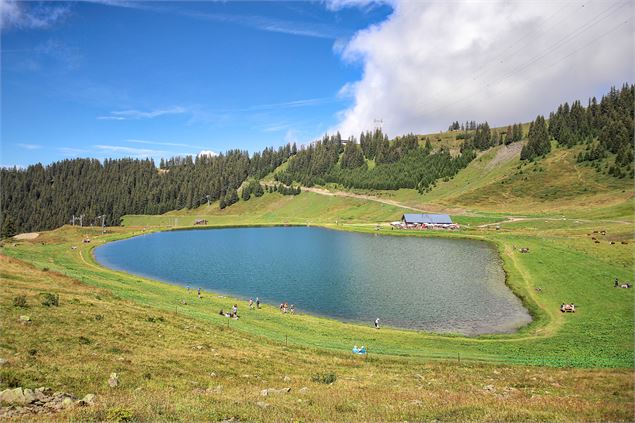 Le lac - Bouilleur de photos