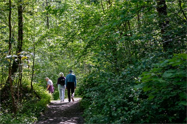 Promenade confort - OTI Montagnicimes