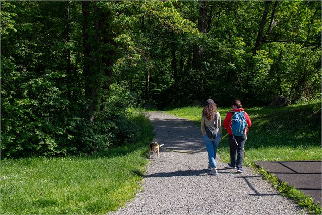 Promenade confort - OTI Montagnicimes