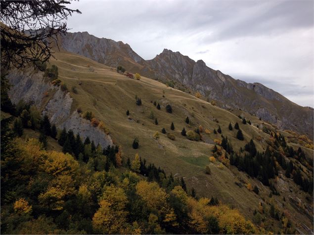 Vallée vers Planlebon - Office de Tourisme Les Menuires