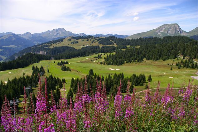 Golf de Morzine Avoriaz