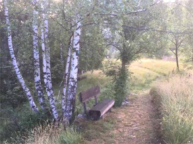 Le jardin montagnard à Val Cenis Bramans - CBorot