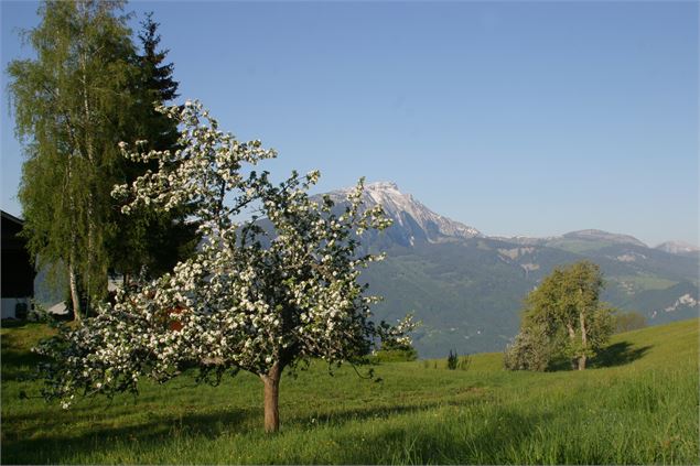 Saint-Sigismond - CAMT